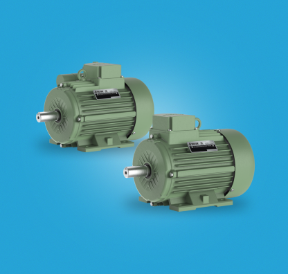 Energy Efficient Induction Motor